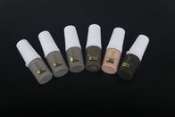 Fronti di Ombre messe con 2 penne d'ombreggiatura, 6 pigmenti dei semi del sopracciglio, 10 aghi d'ombreggiatura