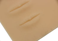 Le labbra permanenti della pelle di pratica di trucco di Poisonless 3D, pelle di Trainin per le labbra praticano