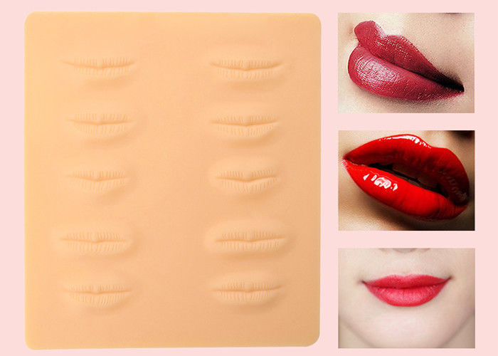 Le labbra lavabili di falsificazione 3D praticano la pelle per pratica di trucco di Microblading